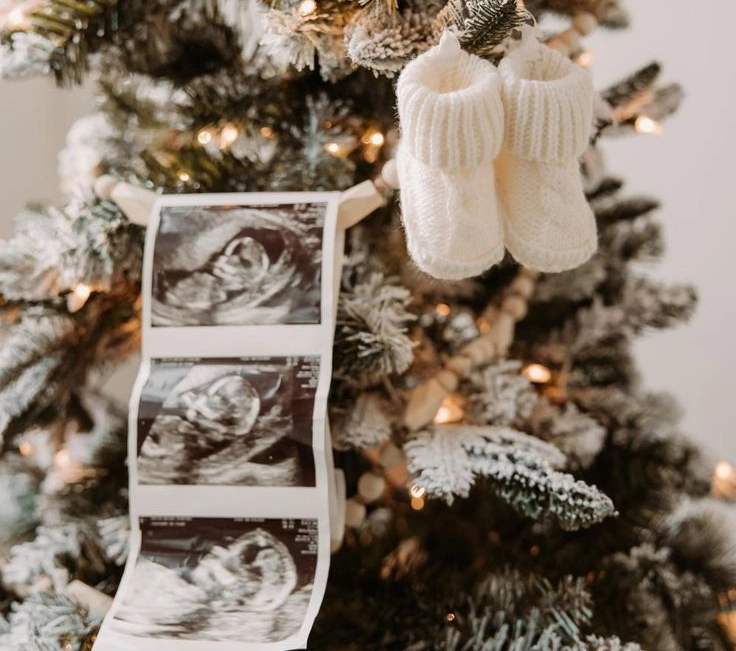 Newest Ornament Reveal