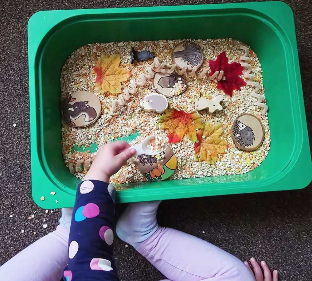 Oat and Leaf Discovery Bin
