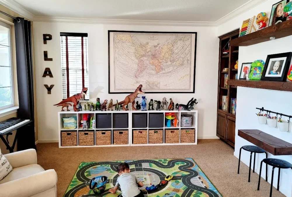 Organized Dinosaur Paradise