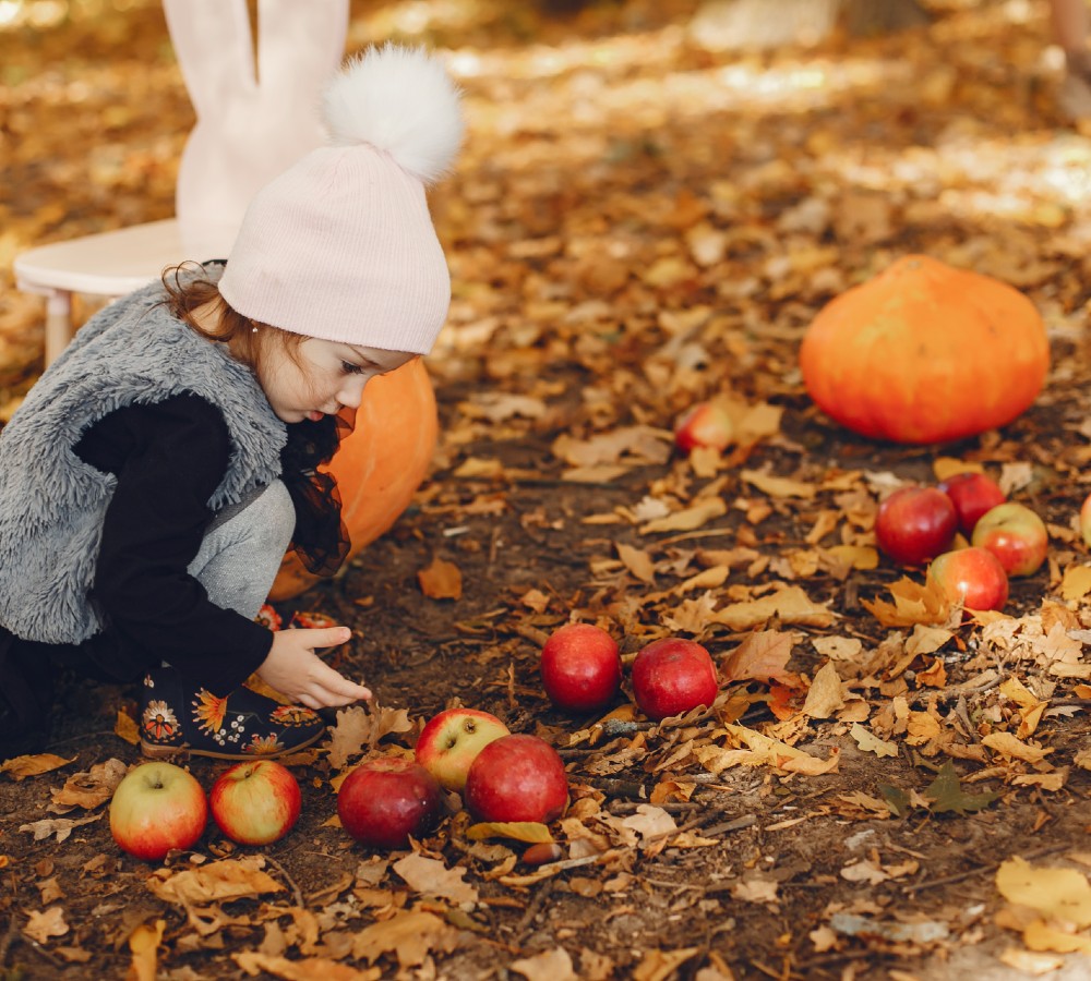 Outdoor Autumn Exploration