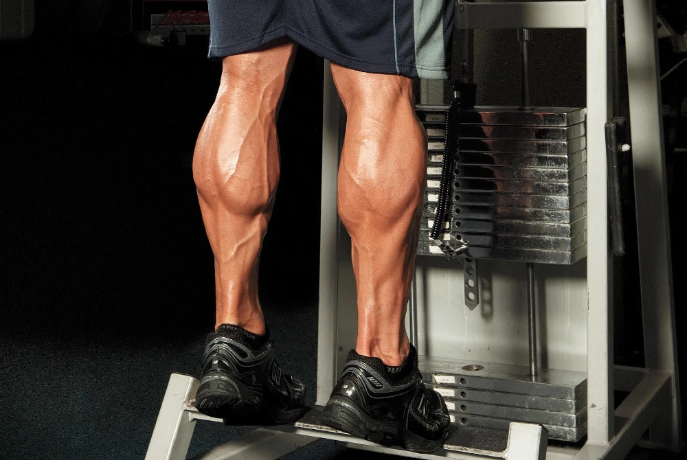 Overall Muscle Size and Density