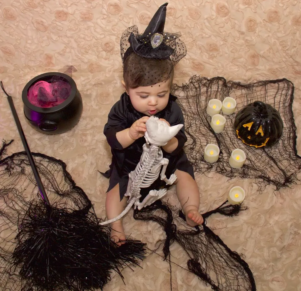 Plastic Skeleton Cat