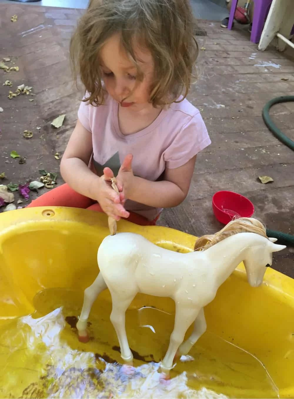 Pony Spa Day