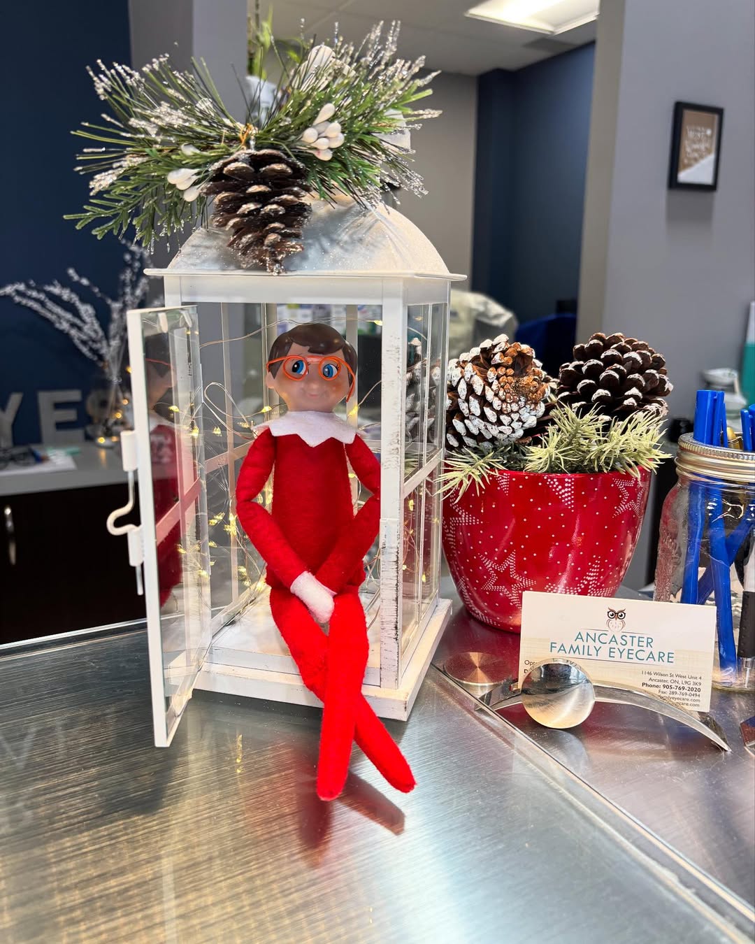 Professional Elf Visit