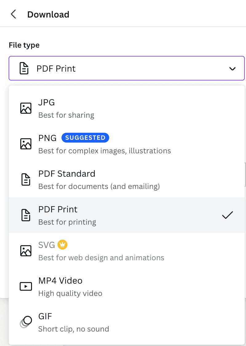 Professional Export Options