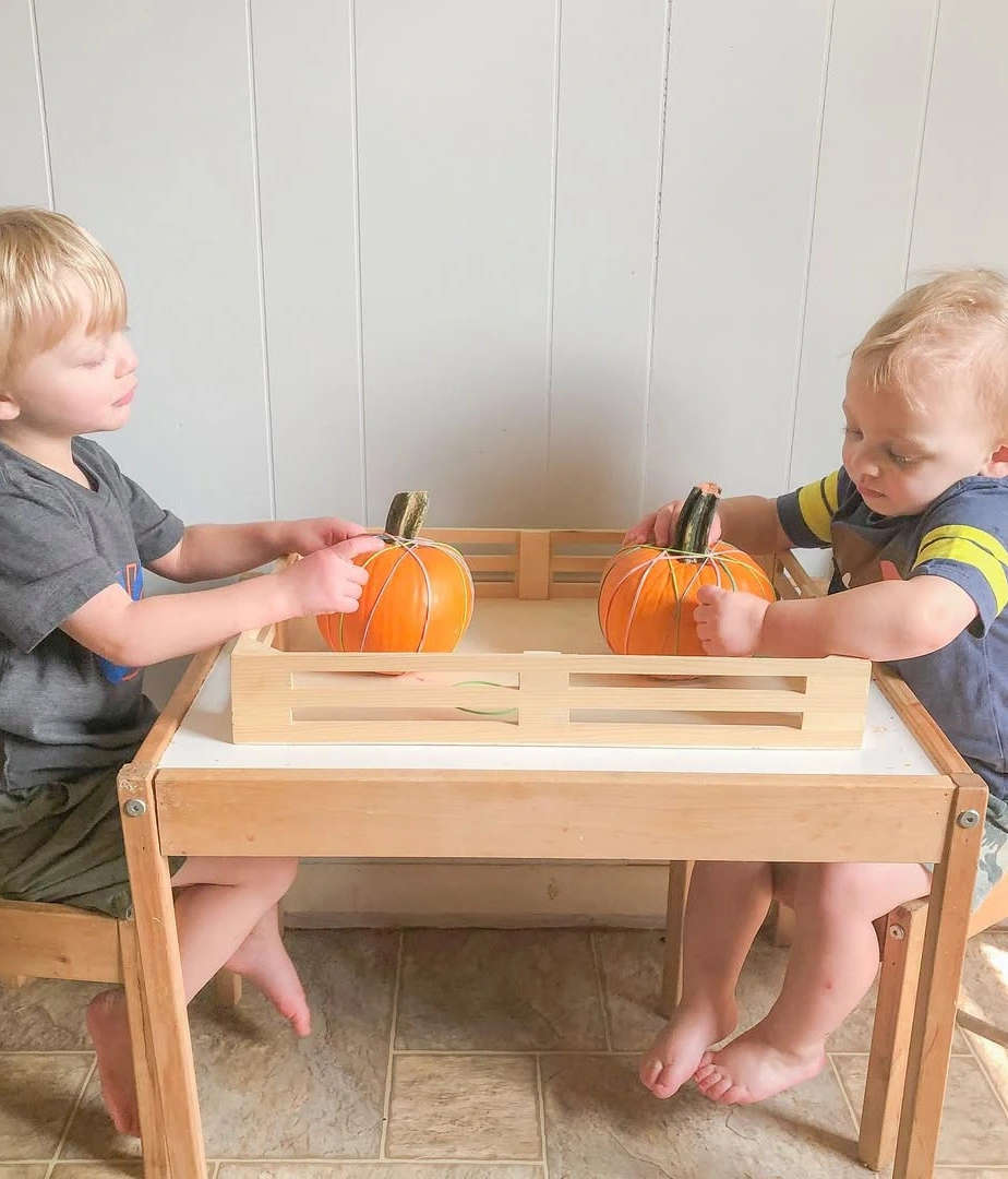 Pumpkin Exploration Sensory Bin