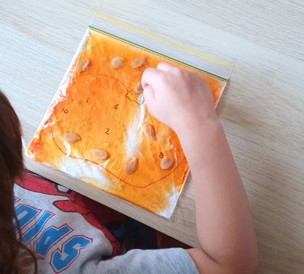  Pumpkin Gel Sensory Bag