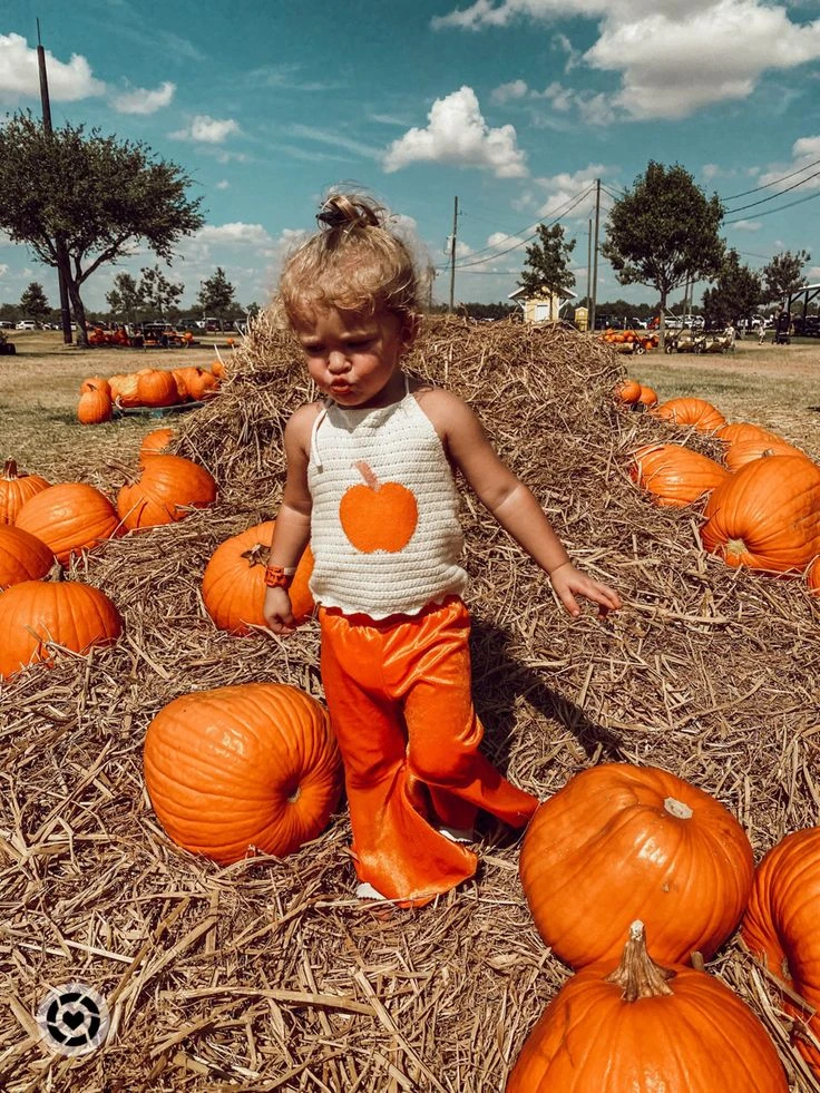 Pumpkin Paradise