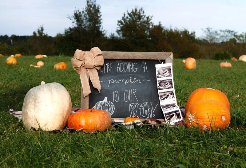 Pumpkin Patch Pregnancy Announcement