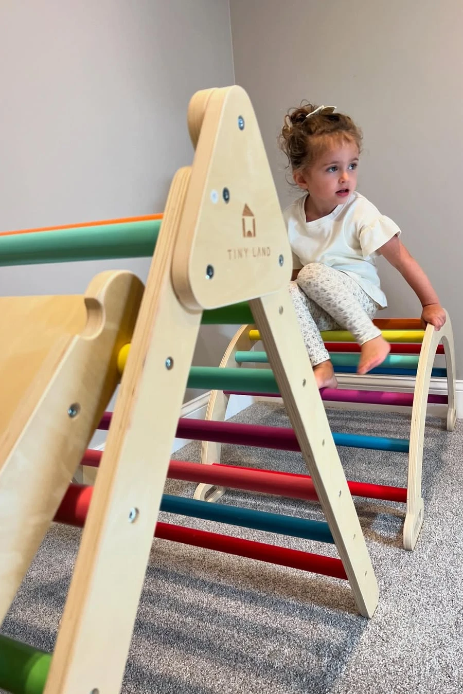 Rainbow Climbing Jungle Gym