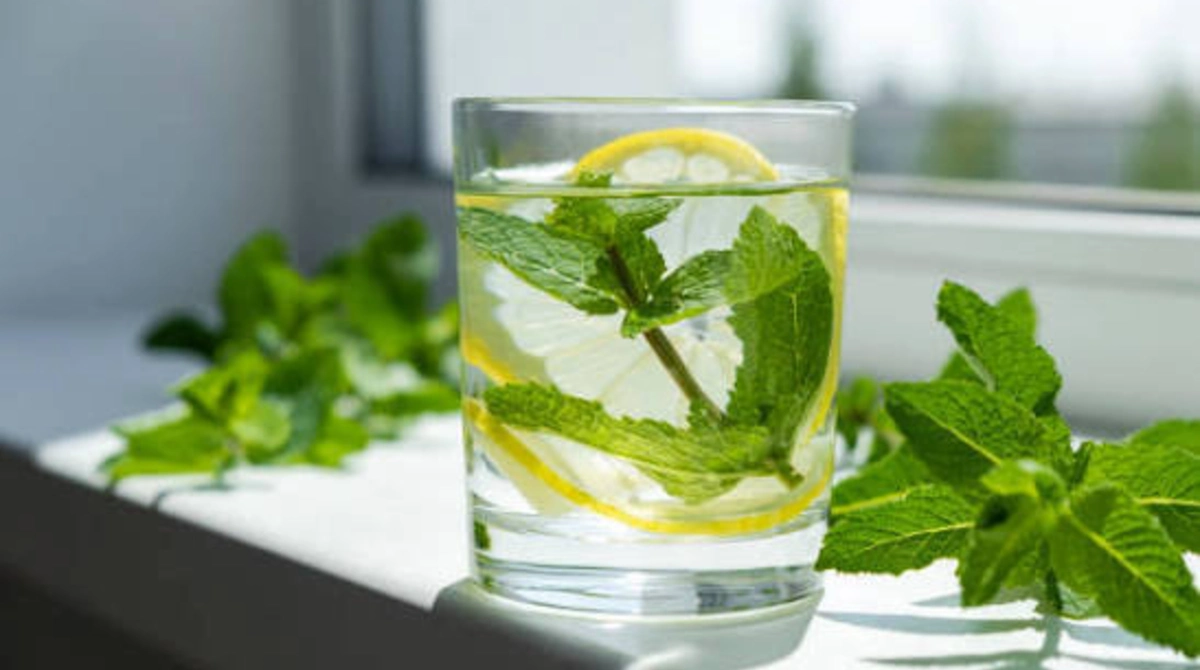 Refreshing Mint Water