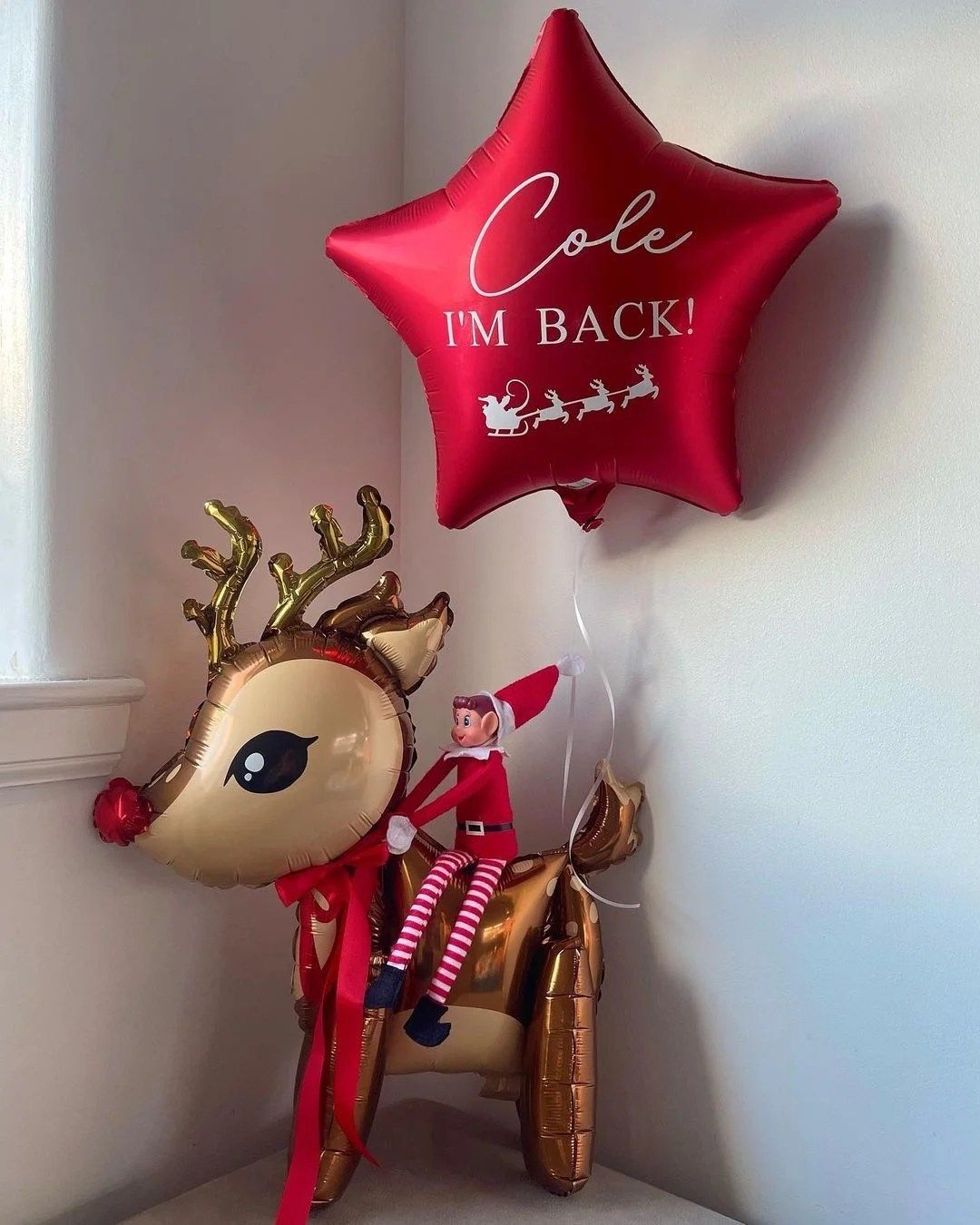 Reindeer Riding Grand Entrance