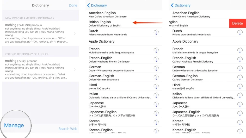Remove Extra Language Dictionaries