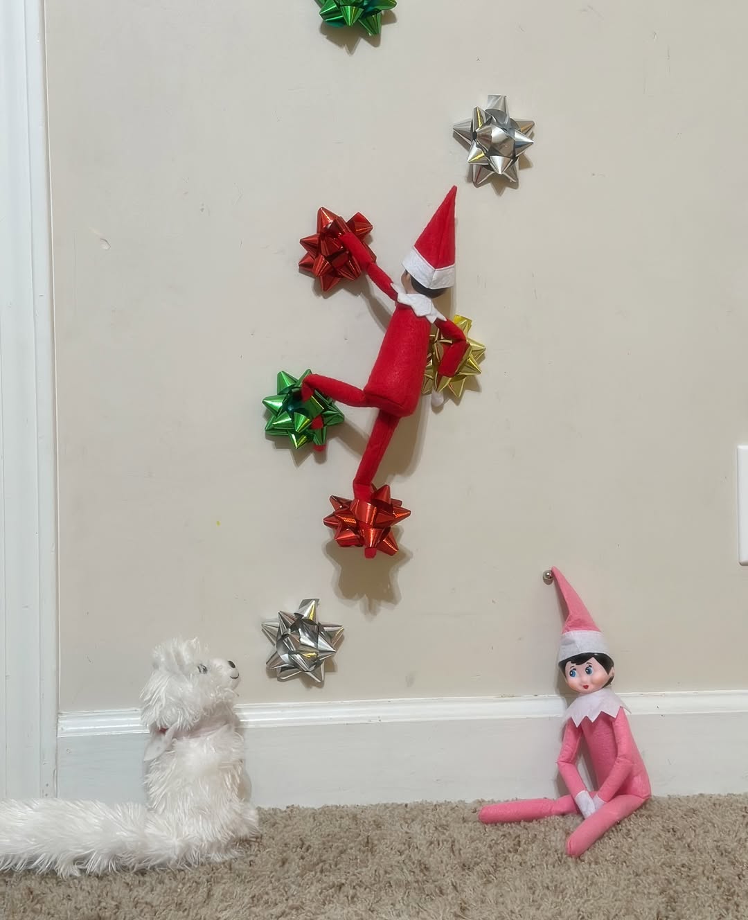 Rock Climbing Adventure