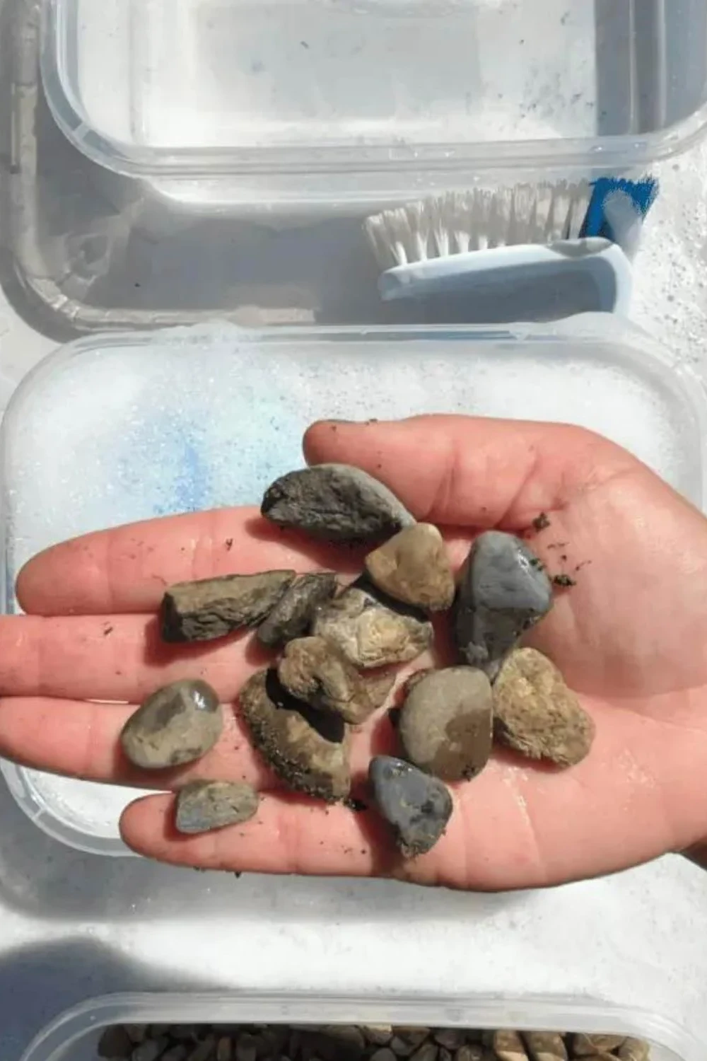 Rock Collection Science Project