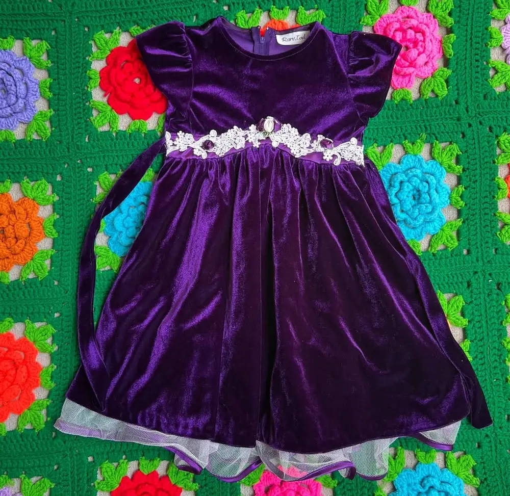 Royal Plum Velvet Dress