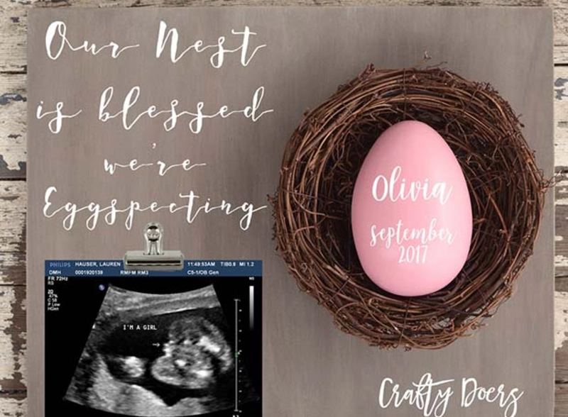 Rustic Nest Theme Baby Girl Announcement with Pink Egg