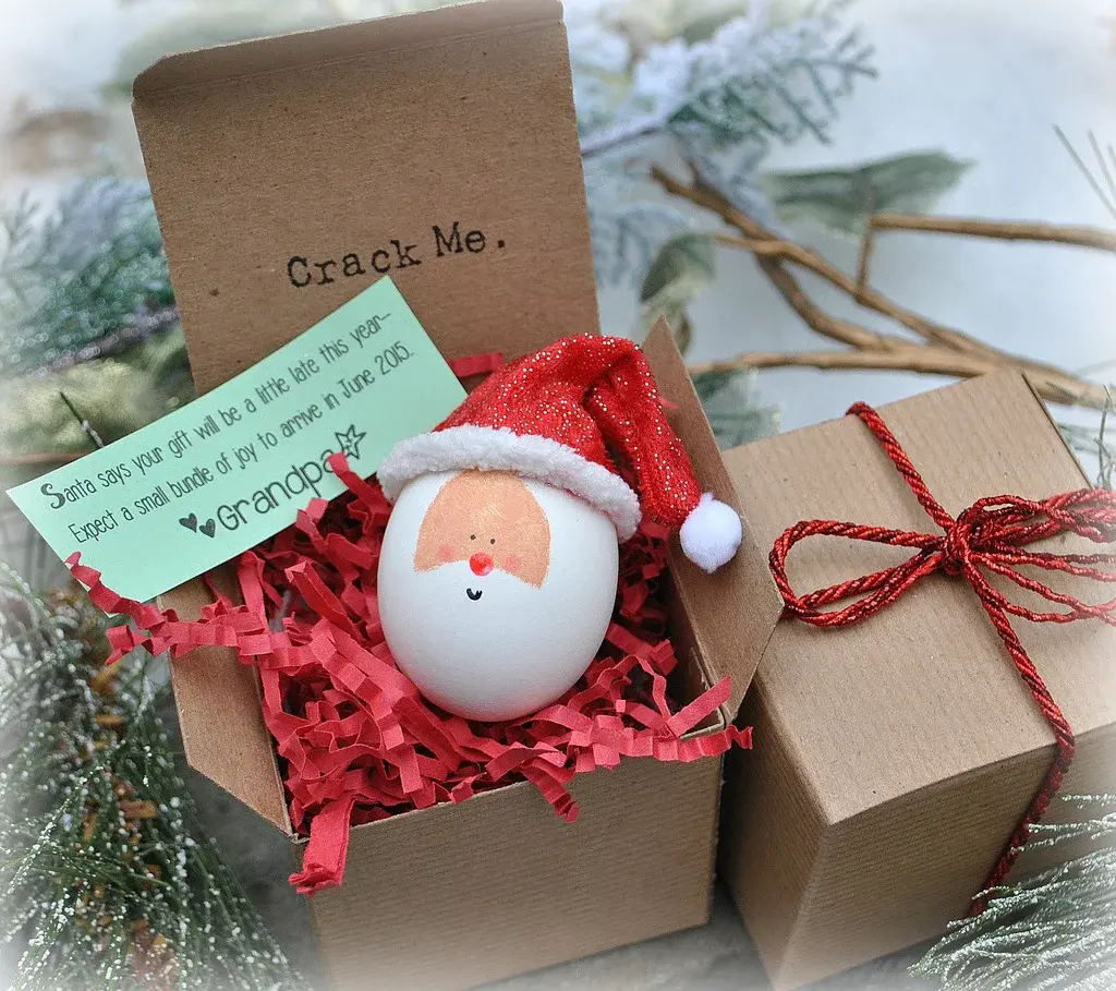 Santa's Secret Message Egg