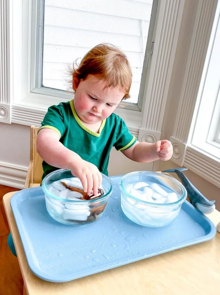 Science Experiment Fun