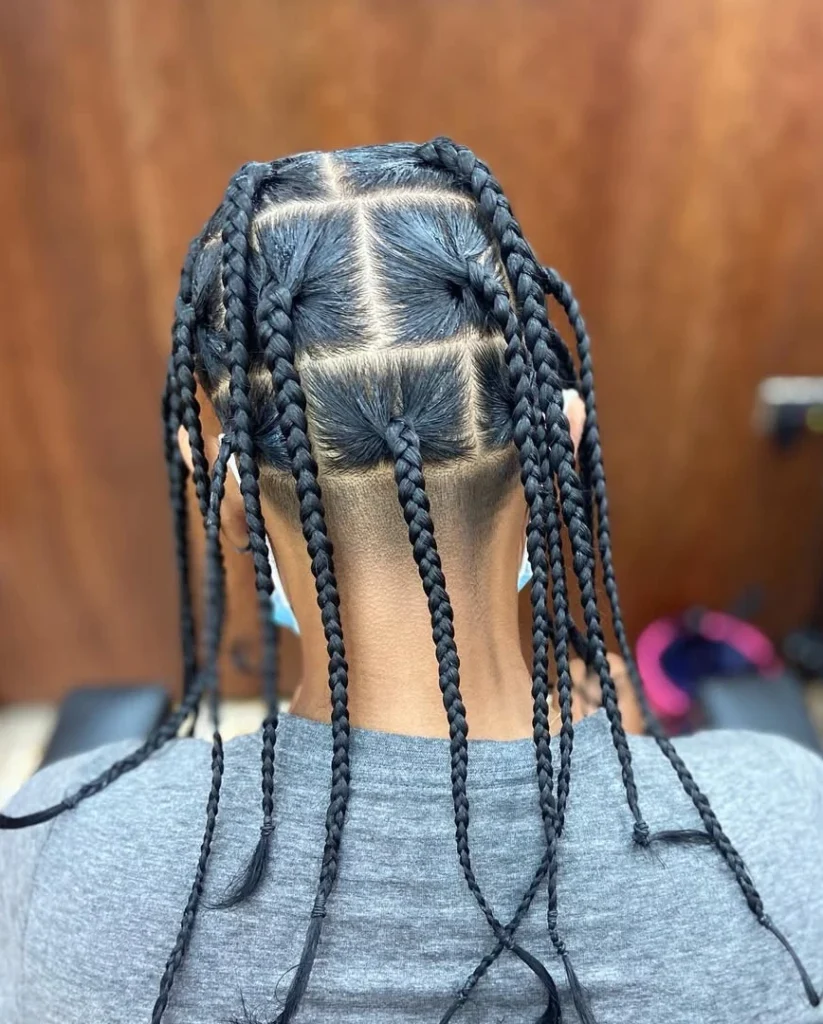 Sectioned Box Braids