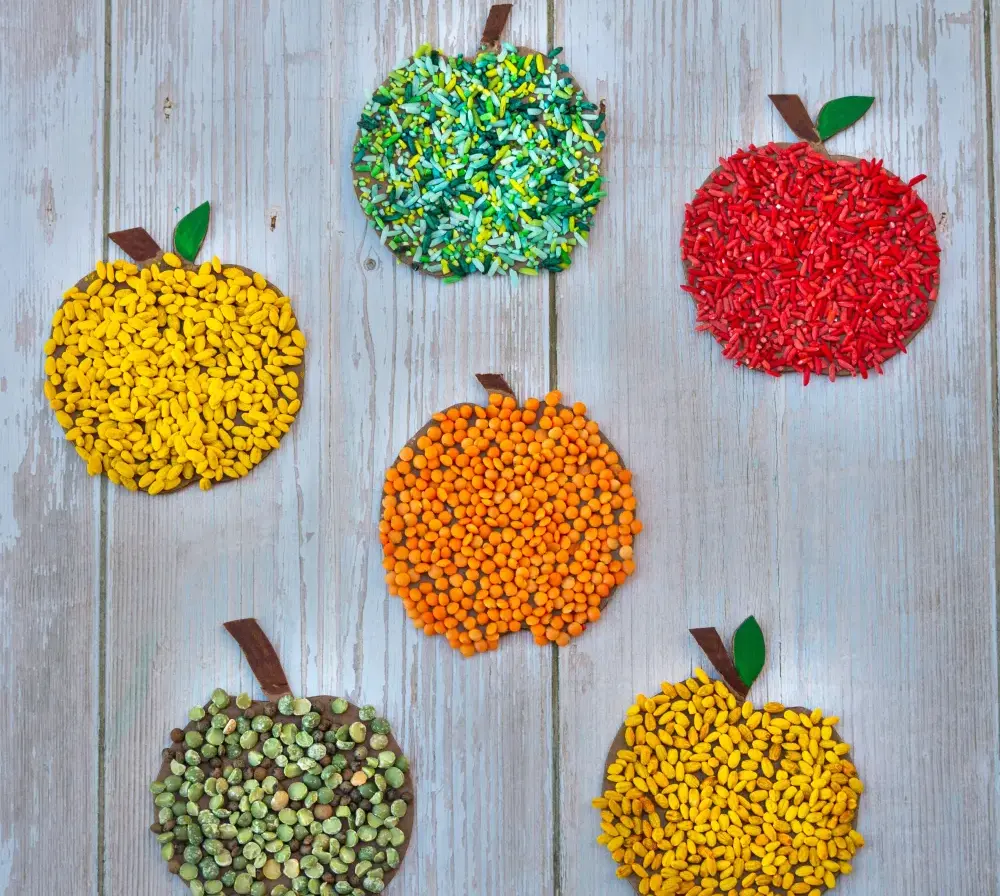 Sensory Seed Apples