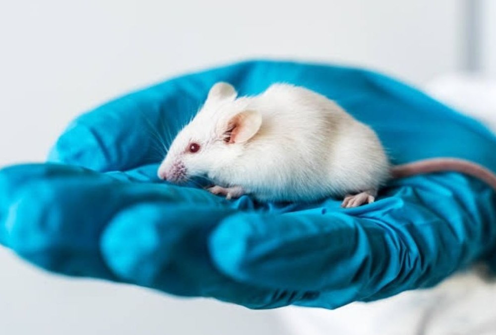 Similar Signals Appeared In Other Cancer Models