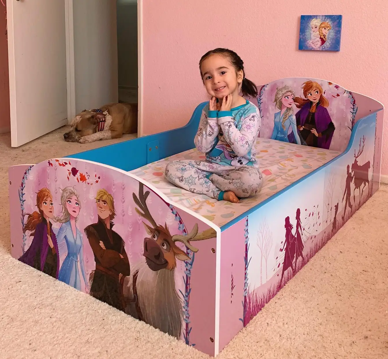 Frozen Fantasy Toddler Bed
