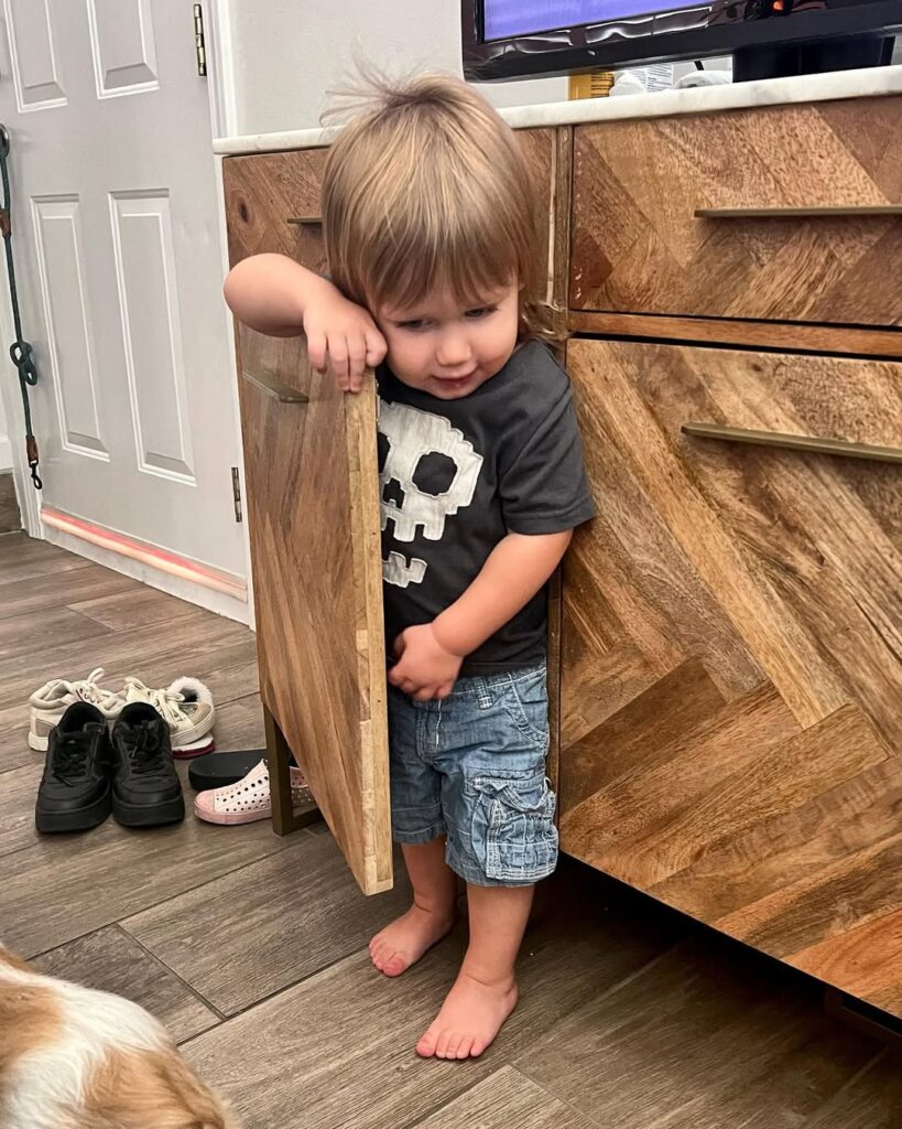 Cabinet Door Hide and Seek