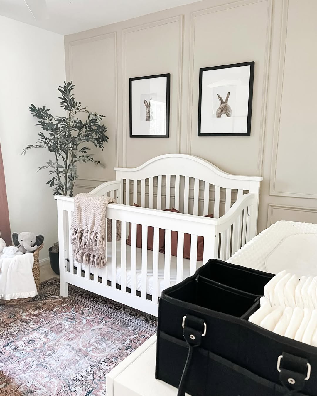 Elegant Room with Wall Molding