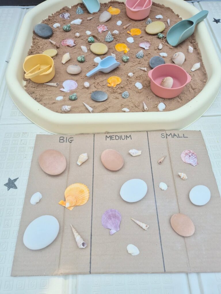 Beach Treasure Size Sort