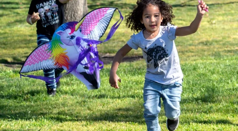 Soaring Joy in the Park