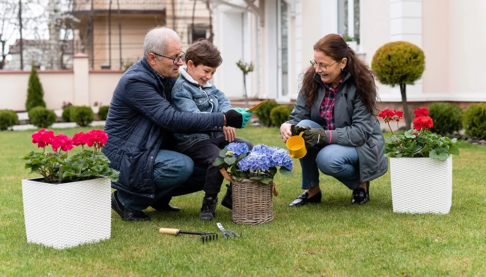 Start Gardening