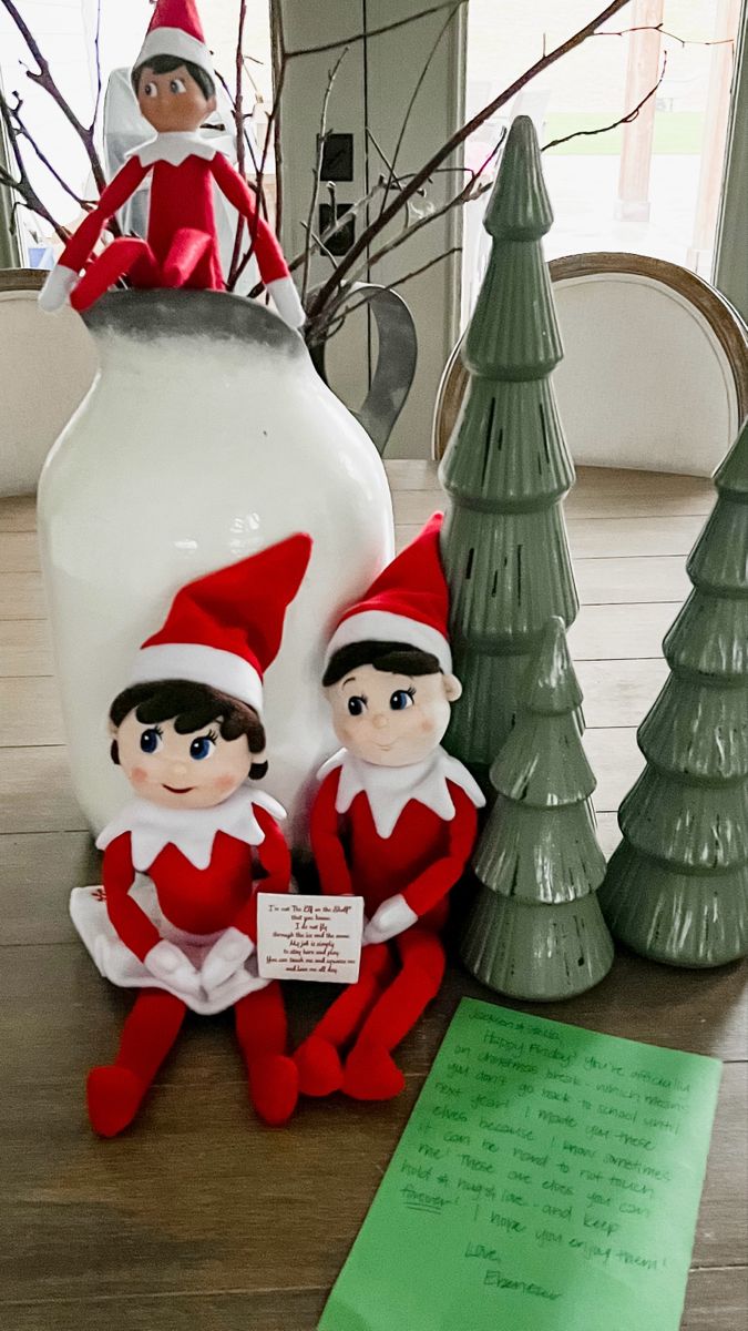 The Elf Family Reunion