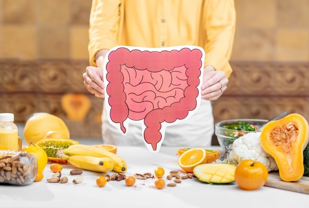 The Gut Hormone Experiment Makes the Mechanism Easier to See