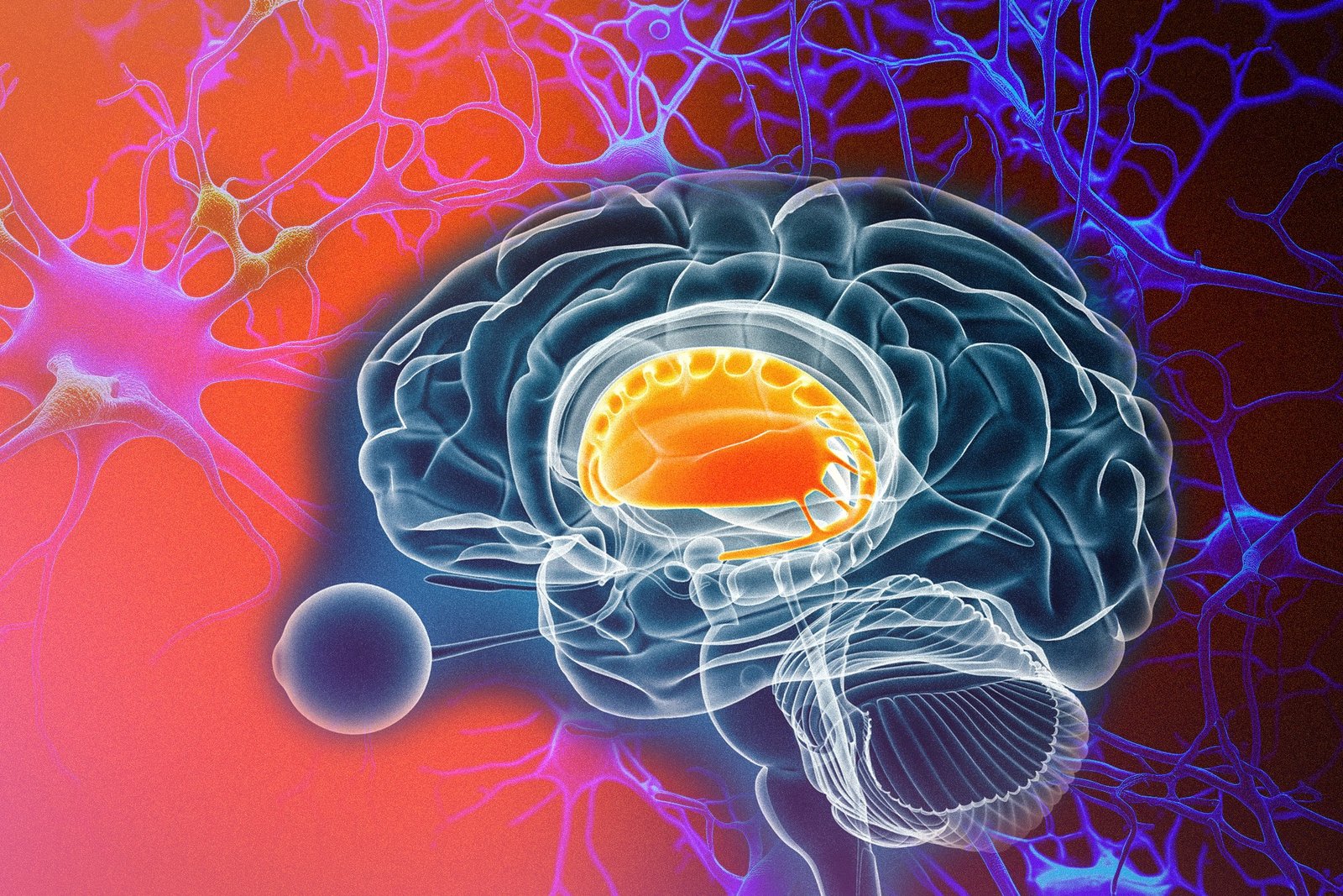 The Link To Physical Motor Symptoms