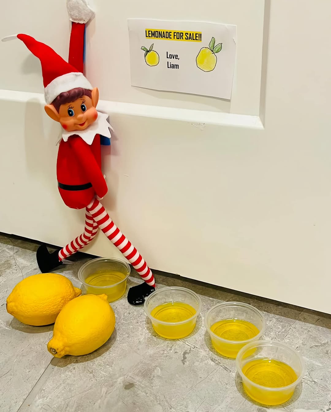 The Little Lemonade Seller