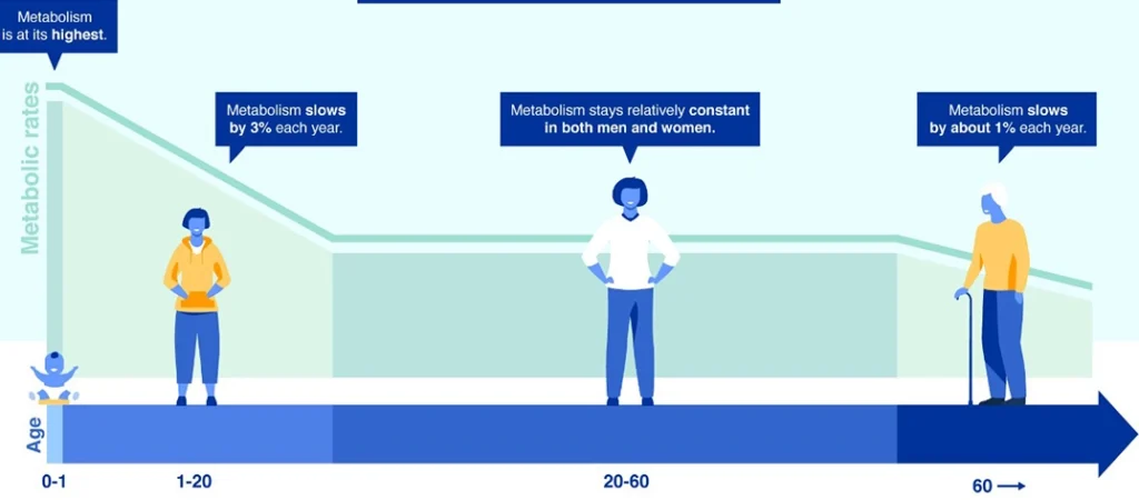 The Real Metabolism Timeline Is Surprisingly Different