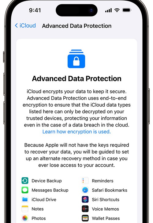 The Safety Net What a Complete Backup Saves