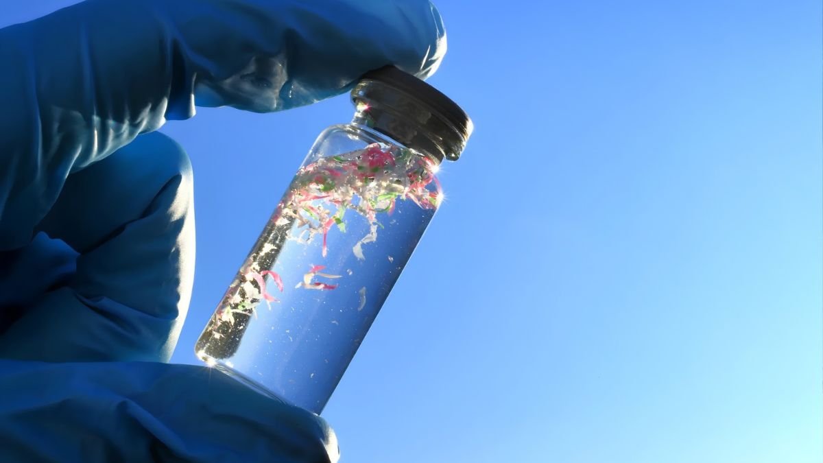 This is the BEST Way to Detox Microplastics – And It’s Shockingly Simple