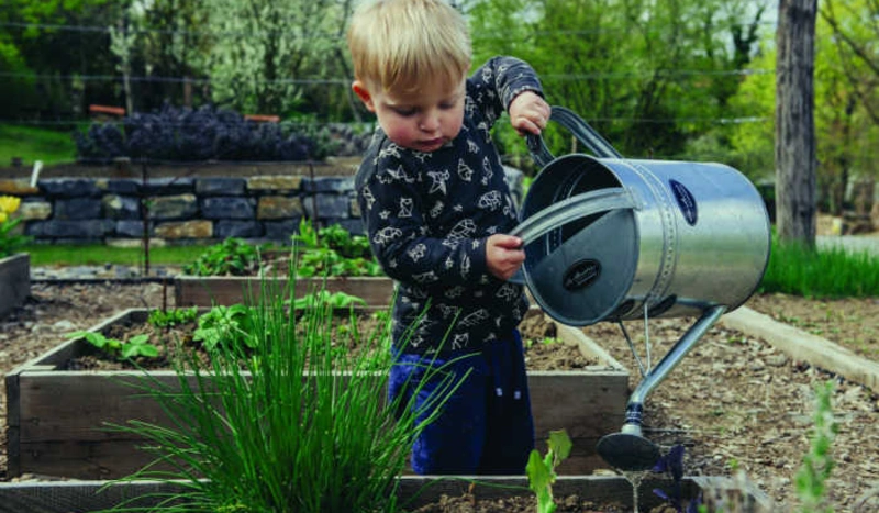 Toddler Watering Plants