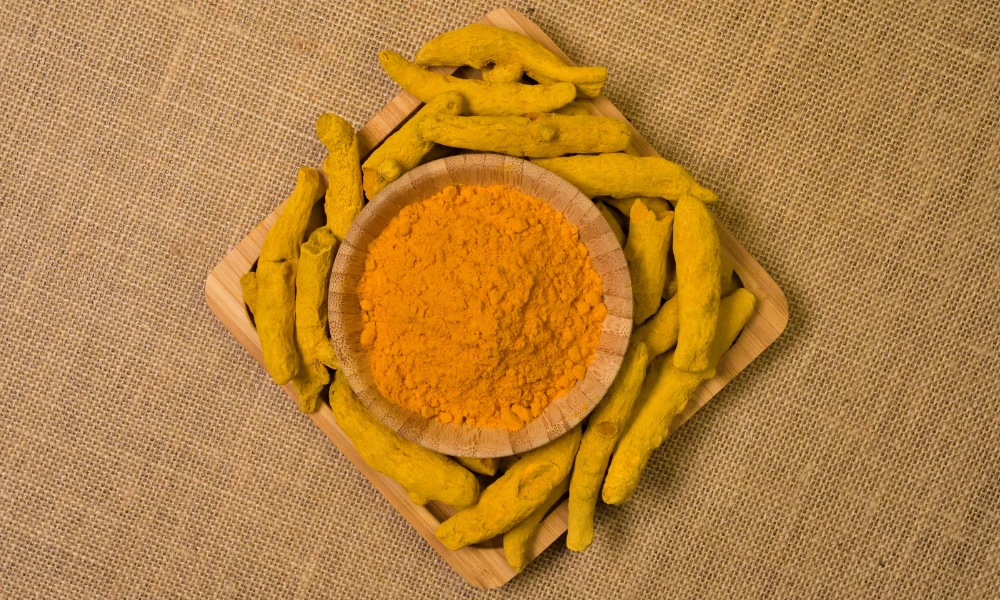 Turmeric Paste
