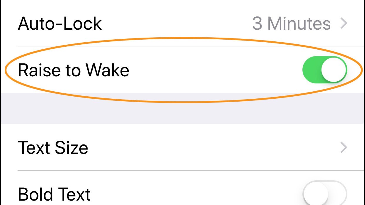 Turn Off "Raise to Wake" 
