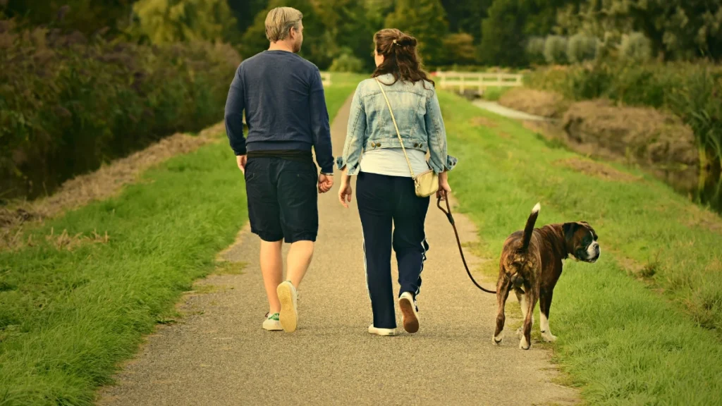 Walk Outdoors for Ten Minutes After Meals