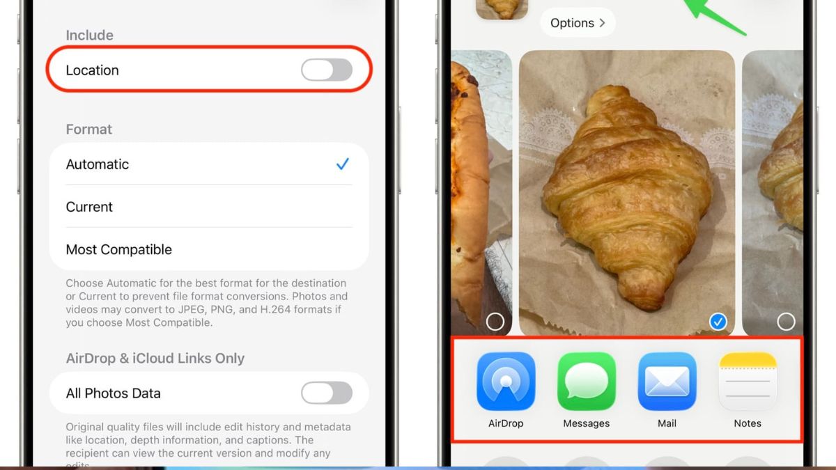 Which Option Should You Choose