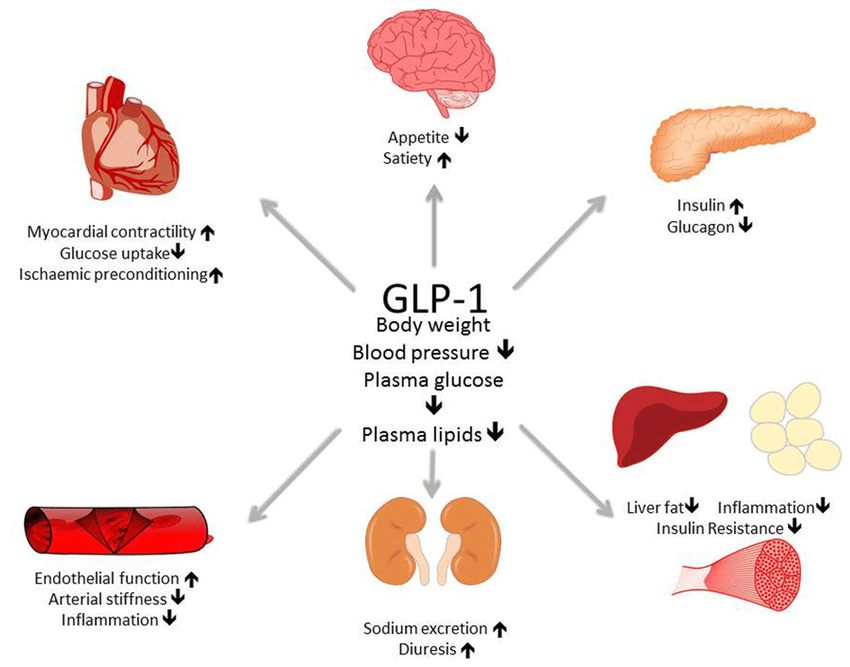 Why GLP 1 Matters More Than Most People Realize