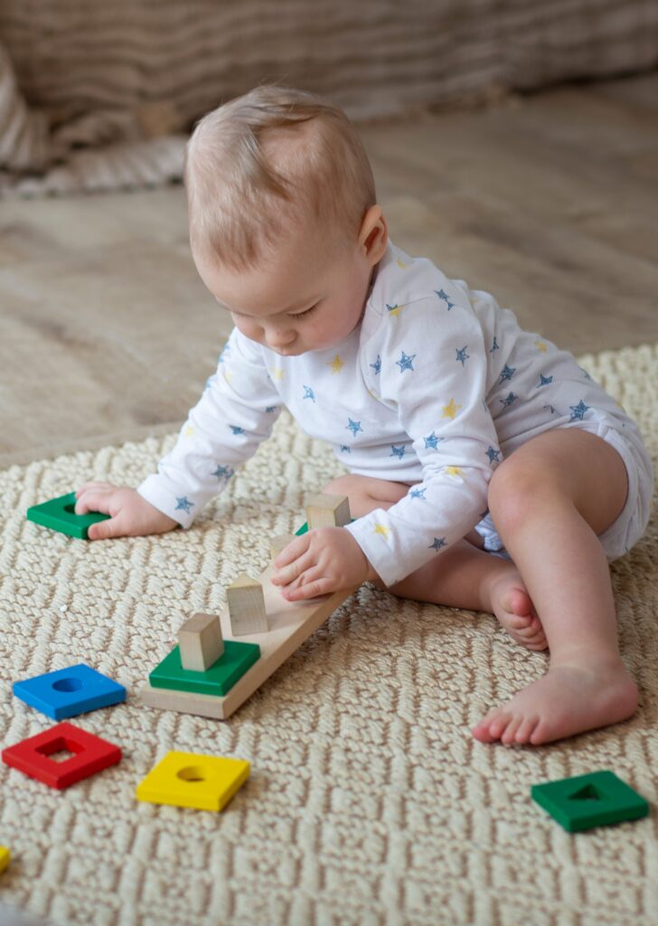 Wooden Shape Sorter Focus Time