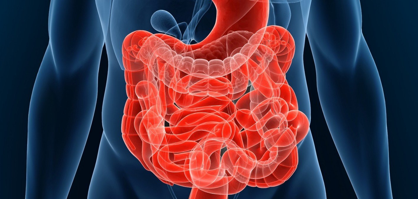 You Have Celiac Disease or Another Absorption Problem