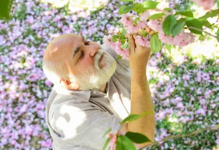 You Miss Environmental And Seasonal Scents