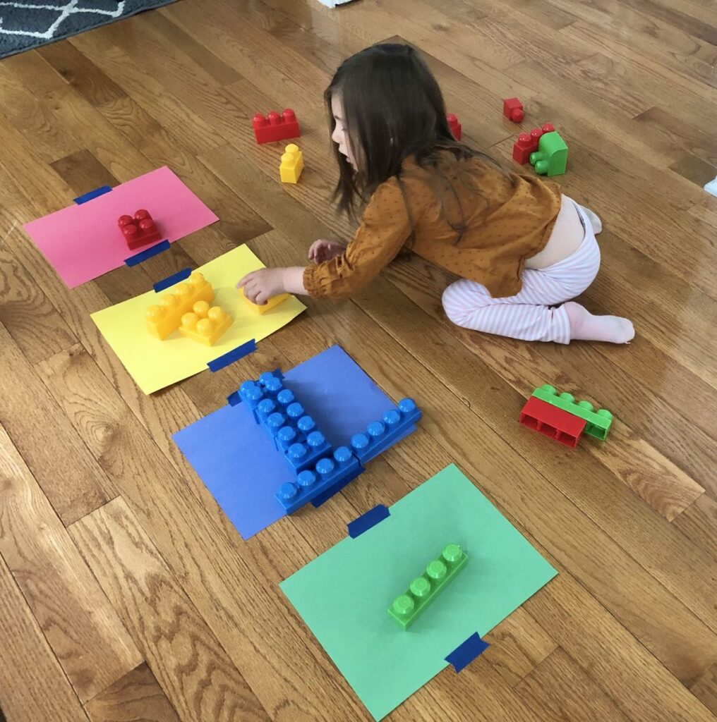 Color Sorting Activity